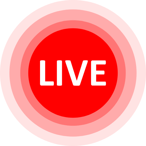 Cam Shows Porn